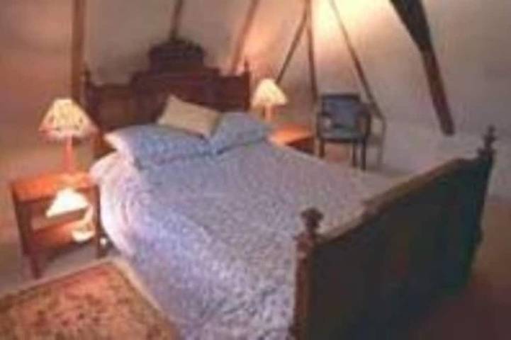 Gîte pour 9 personnes, avec terrasse et jardin, animaux acceptés à Queyssac-les-Vignes - 2