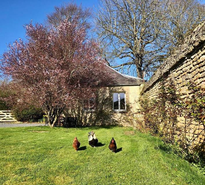 Gîte pour 2 personnes, avec vue ainsi que terrasse et jardin dans Saint-Manvieu-Norrey