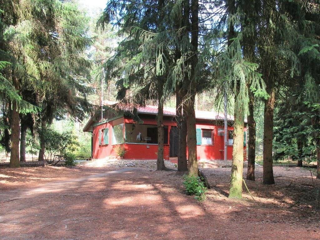 Hütte in Suderburg mit Schwimmbecken in Suderburg, Landkreis Uelzen