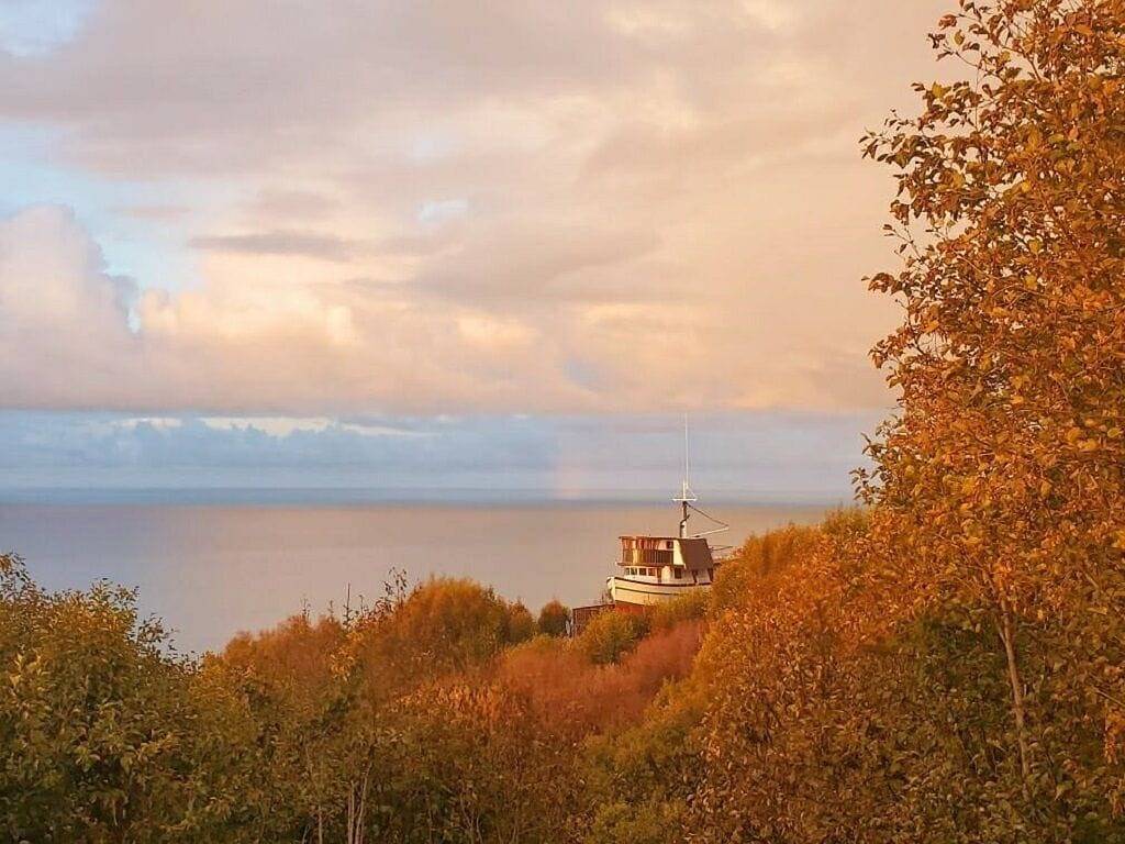 The Dovetail Cabin in Homer, Kenai Peninsula