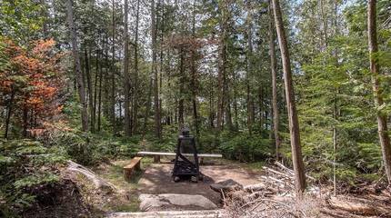 Glamping for 10 Guests in Quebec, Canada, Picture 2