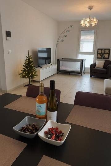 Gîte pour 10 personnes, avec vue et terrasse à Wittenheim