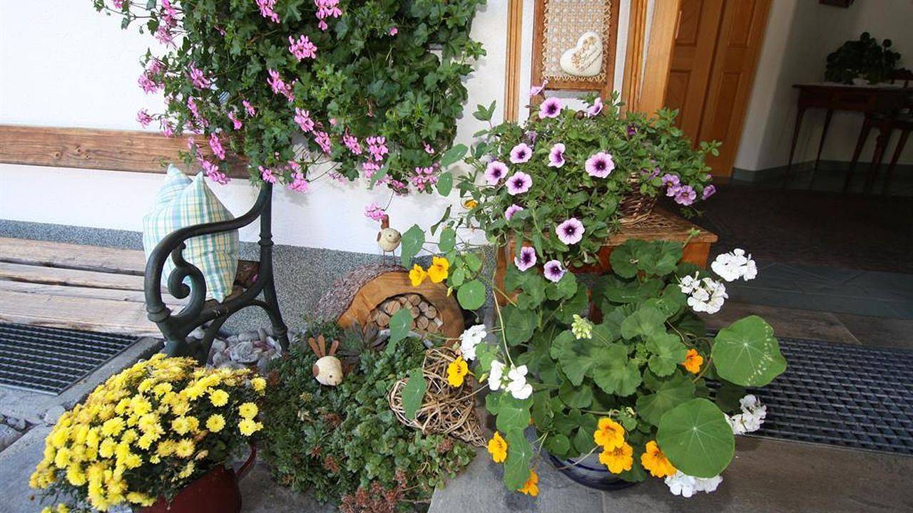 Appartement de vacances entier, Ferienwohnung für 2 Personen (48 m²) in Holzgau in Holzgau, Alpes d'Allgäu (Autriche)