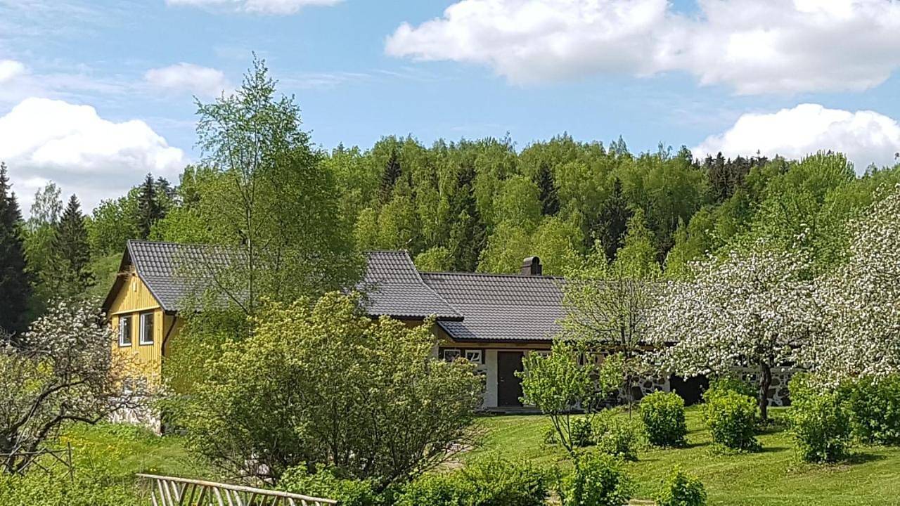 Deluxe King Studio in Võru region