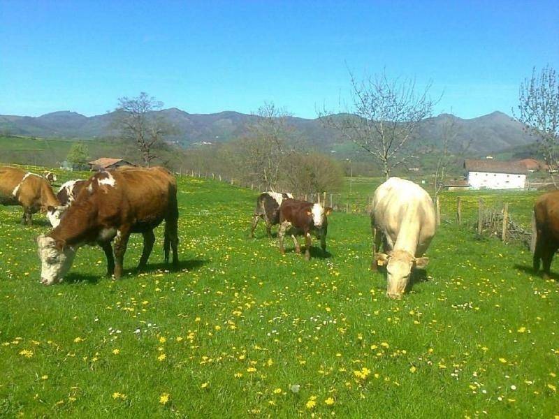 Apartamento entero, Apartamentos Rurales Kastonea in Erratzu, Baztán