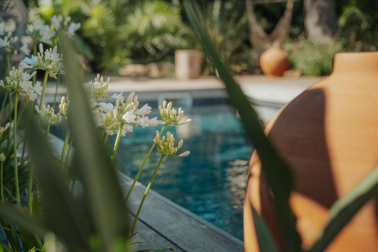 Queen Room with Pool View in Vendargues, Côte méditerranéenne (France)