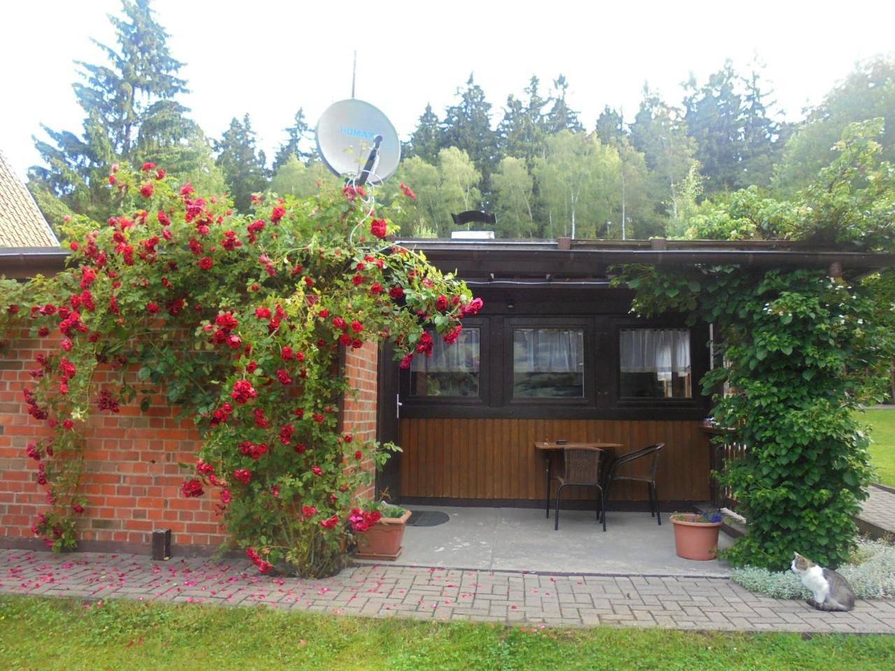 Bergfreiheit in Wernigerode, Harzvorland