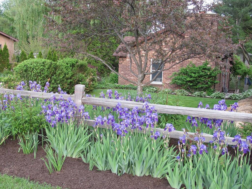 Adorable Cottage New Buffalo, Mi.Nr. In der Nähe von Grand Beach. 1 Schlafzimmer, Schlafmöglichkeiten für 5 in Berrien County