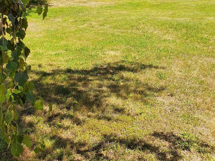 Chalet pour 6 personnes, avec bassin pour enfant en Haute-Loire - 3