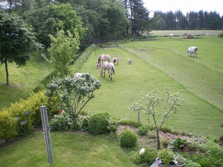 Ferienhaus für 4 Personen, mit Terrasse und Garten sowie Sauna in Leck - 2