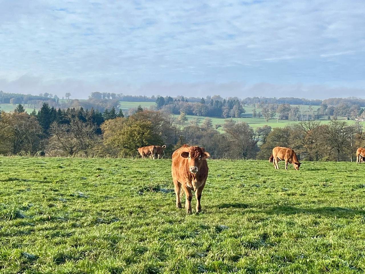 Country House 'David' with Private Terrace and Garden in Nantiat, Bellac region