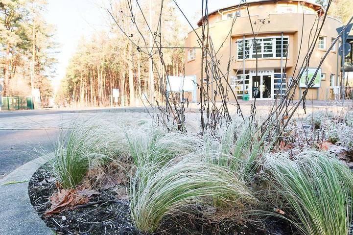 Bauernhof für 2 Personen, mit Balkon im Lausitzer Seenland - 4