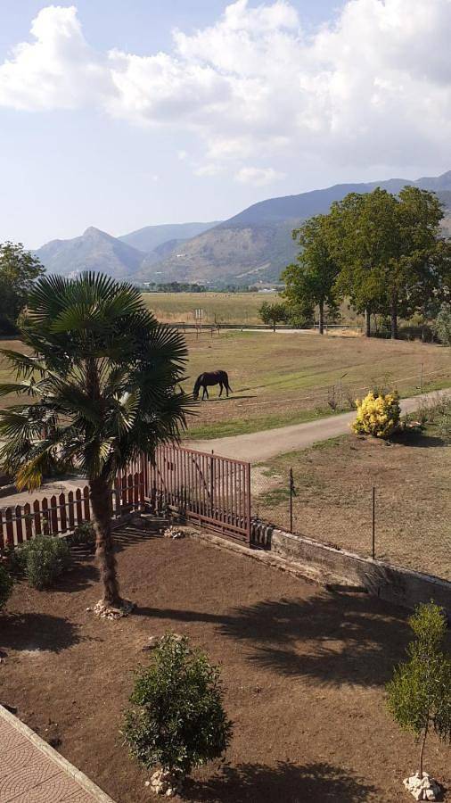 Gîte pour 3 personnes, avec balcon ainsi que vue et jardin, animaux acceptés à Aquino (homonymie) - 3