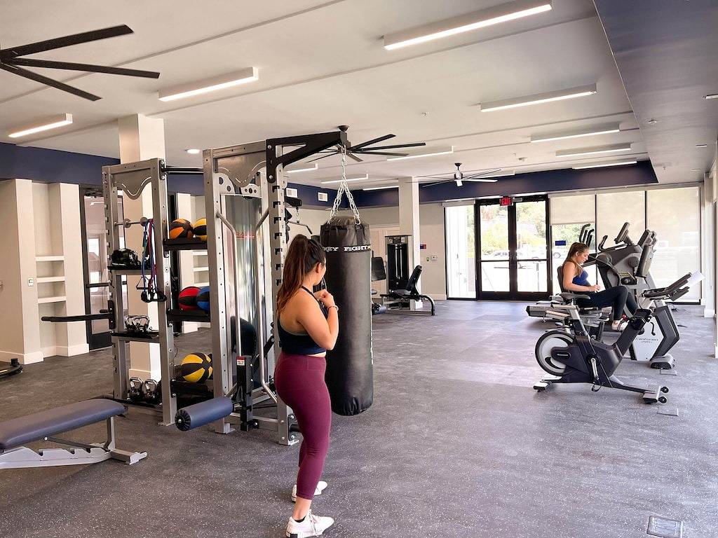 Ganze Wohnung, Modern 1Br w/ Balcony | Walk to Uf & Shands | Perfect for Long Stays in Gainesville, Alachua County