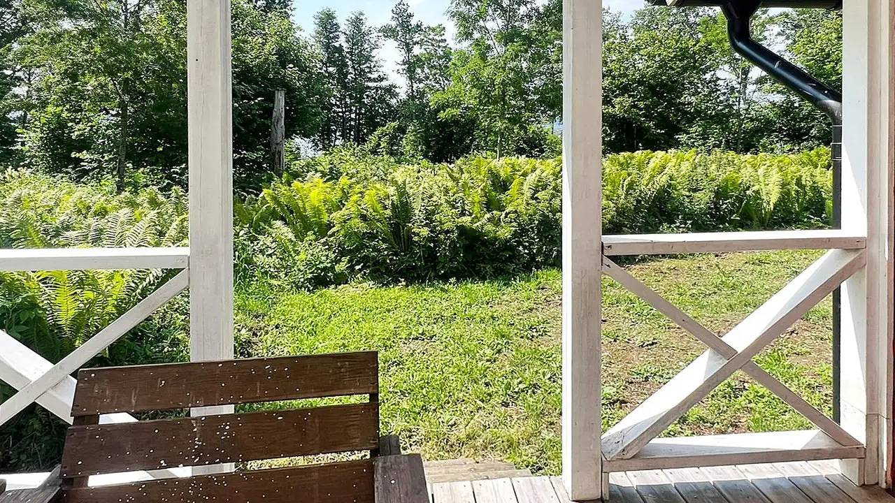 Ferienhaus für 4 Personen (45 m²) in Braås in Kronobergs