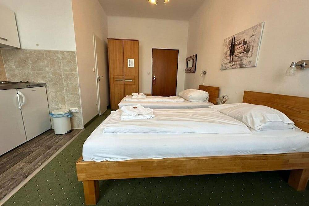 Ganze Wohnung, Ferienwohnung/App. für 2 Gäste mit 16m² in St. Pölten in Sankt Pölten, Mostviertel Region