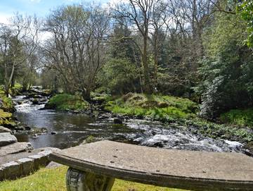 Baita per 2 Persone in Dalbeattie, Lowlands scozzesi, Foto 1