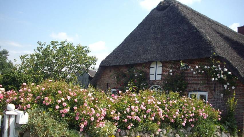 Ferienwohnung für 5 Personen, mit Terrasse in Emmelsbüll-Horsbüll