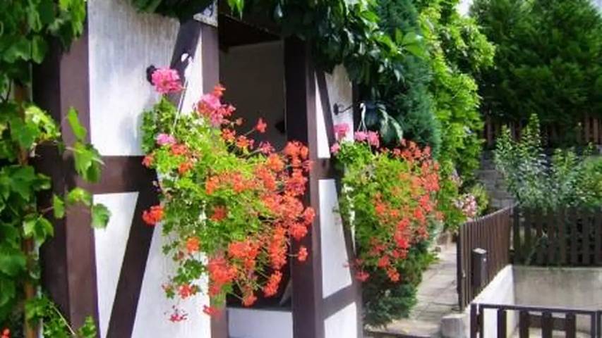 Ferienwohnung für 3 Personen, mit Balkon und Terrasse sowie Garten in Loschwitz - 2