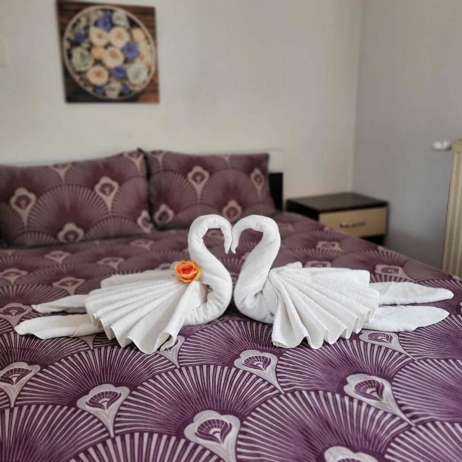 Entire apartment, Casa Ana in Cluj