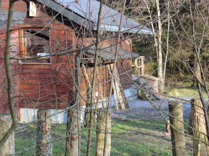 Escapade dans un chalet confortable en forêt in Robertville, Waimes