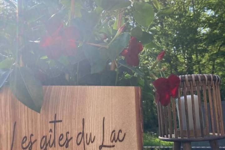 Gîte pour 11 personnes, avec jardin dans Magnieu