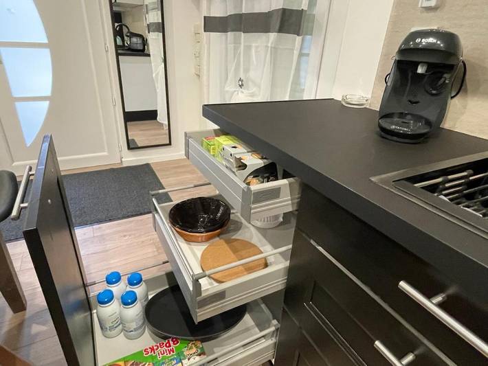 Gîte pour 6 personnes, avec terrasse, animaux acceptés à Chasse-sur-Rhône - 3