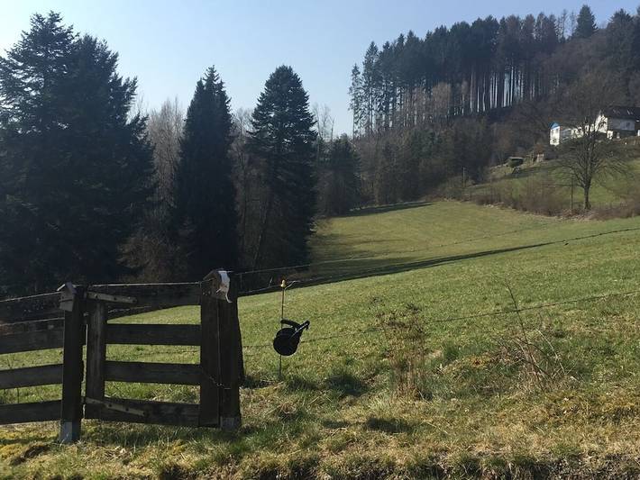 Ferienhaus für 8 Personen, mit Sauna und Garten sowie Terrasse, mit Haustier in Hallenberg - 4