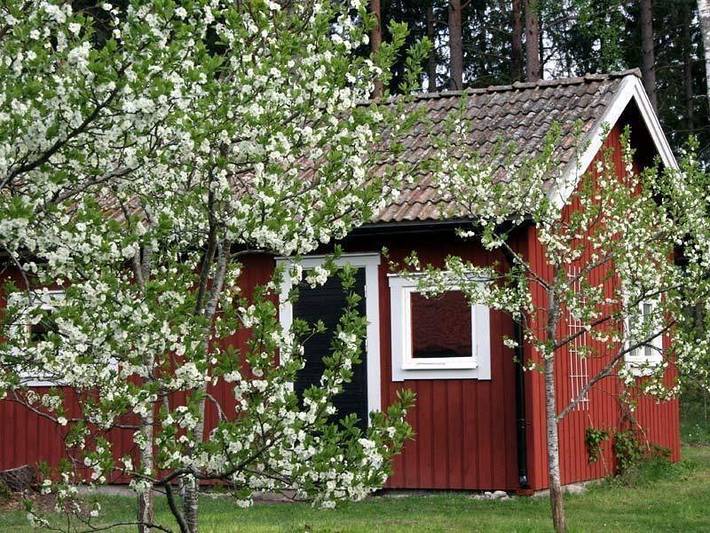 Glamping voor 4 personen, met tuin, met huisdier in Zweden