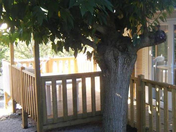 Mobil home pour 6 personnes à Tourrettes-sur-Loup - 4