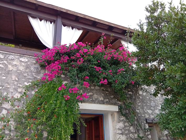 Location de vacances pour 8 personnes, avec Balcon et Jardin à Corsano