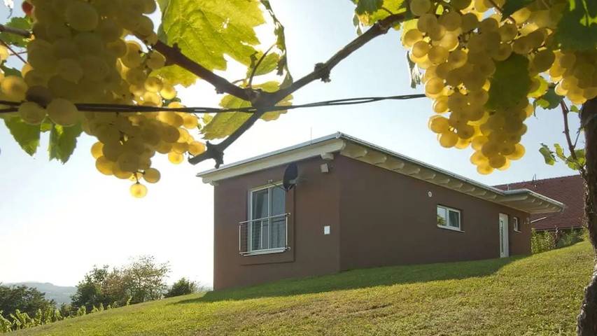 Ferienhaus für 5 Personen, mit Terrasse und Sauna, mit Haustier