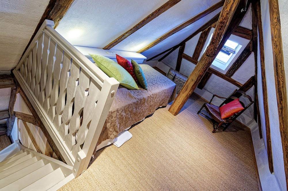 Ganze Wohnung, Glücklicher Drache***** Fewo mit überdachter Terrasse. Schöne ruhige Lage. in Riquewihr, Regionaler Naturpark Belchen der Vogesen