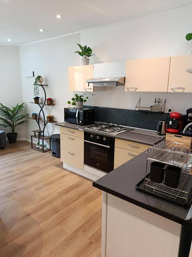 Gîte pour 4 personnes, avec terrasse, animaux acceptés à Aubigny-sur-Nère - 4