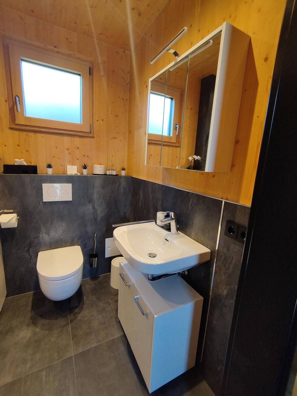 Apartamento vacacional entero, Chalena in Tux Alps, Pill