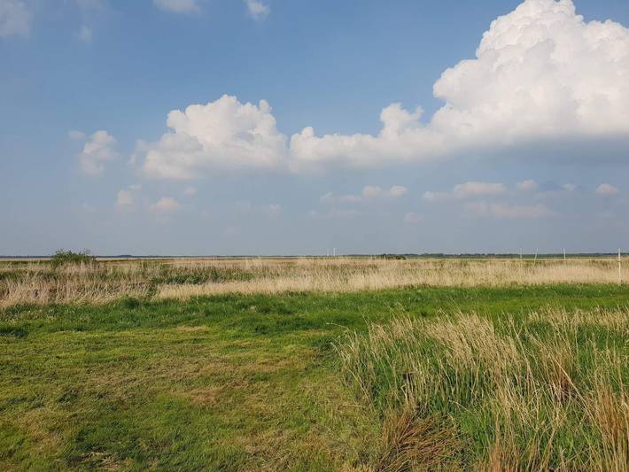 Idyllic Nature Retreat in Nørhede Vest, Ulfborg