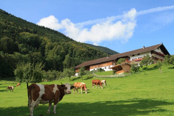 Bauernhof für 4 Personen, mit Balkon und Balkon/Terrasse in Landkreis Rosenheim - 2