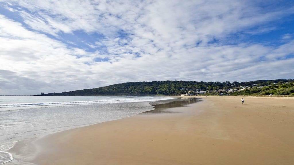 Ganze Wohnung, Spektakuläre Aussichten Apartment: Bay Panorama in Lorne, Great Ocean Road