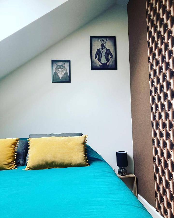 Appartement entier, Le carrosse, la diligence, centre Saint Jean de Losne tarif 2pers 1 chambre, tarif 4 pers 2 chambres in Saint-Jean-de-Losne, Région de Beaune