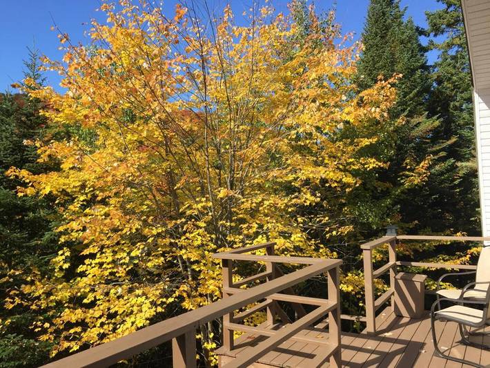 Location de vacances pour 4 personnes, avec vue et balcon dans Saint Donat De Montcalm - 4