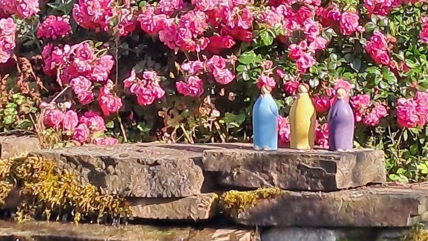 Ferienwohnung für 4 Personen, mit Garten