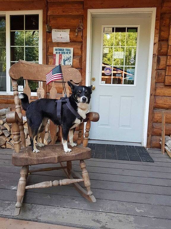 Time for adventure. Sleep in a treehouse. 5 minutes from the airport & downtown! in Fairbanks, Fairbanks North Star