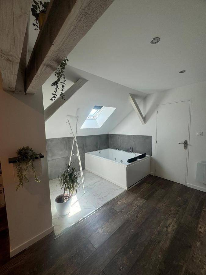 Gîte pour 7 personnes, avec vue et jardin, animaux acceptés dans Nilvange - 3