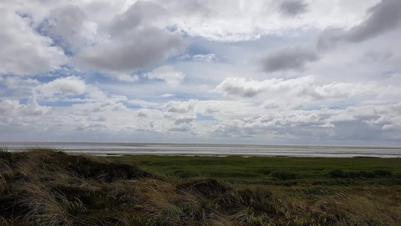 Ferienhaus für 8 Personen (170 m²) in Fanø in Sønderho, Wadden Sea National Park