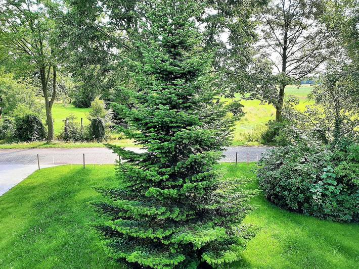 Ferienhaus für 6 Personen, mit Terrasse und Garten, kinderfreundlich in Hesel - 3