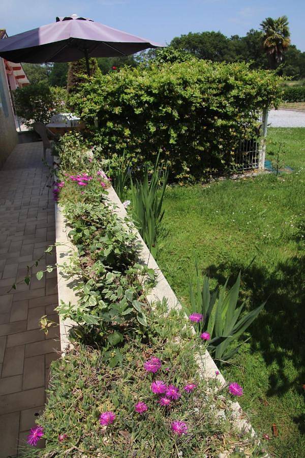 Location de vacances pour 5 personnes, avec terrasse et jardin à Lahosse - 3