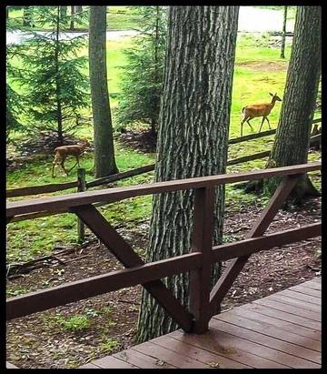 Vacation House for 16 Guests in Treasure Lake, Pennsylvania, Picture 2