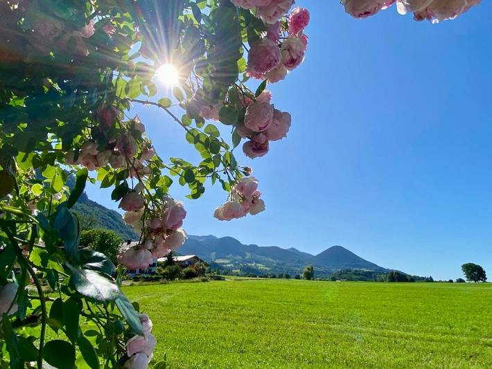 Ferienhaus für 8 Personen, mit Terrasse, mit Haustier in den Bayerische Alpen - 2
