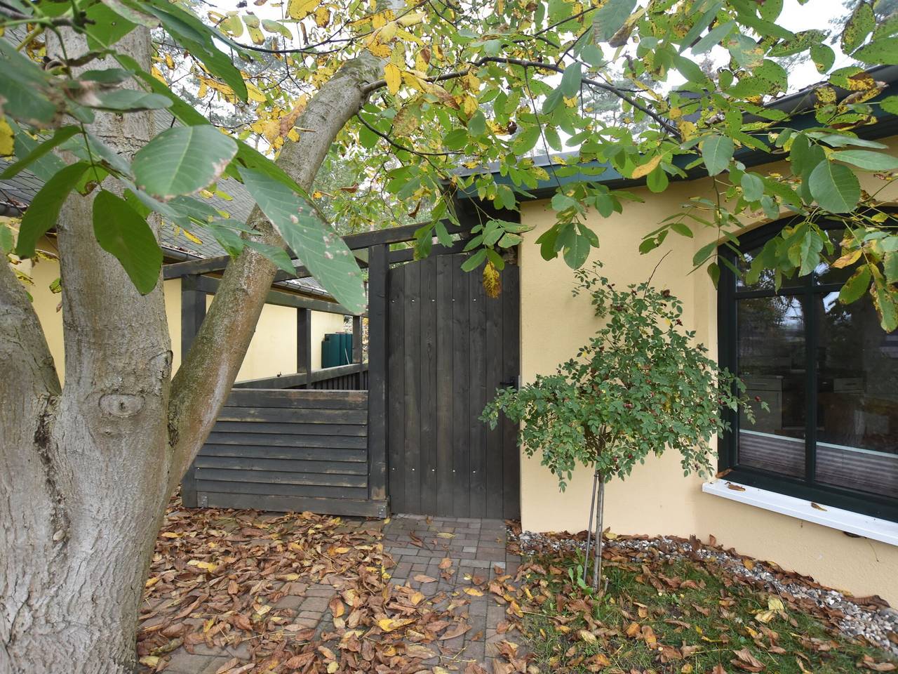 Bungalow in Tessmannsdorf nahe Salzhaff, foto 11