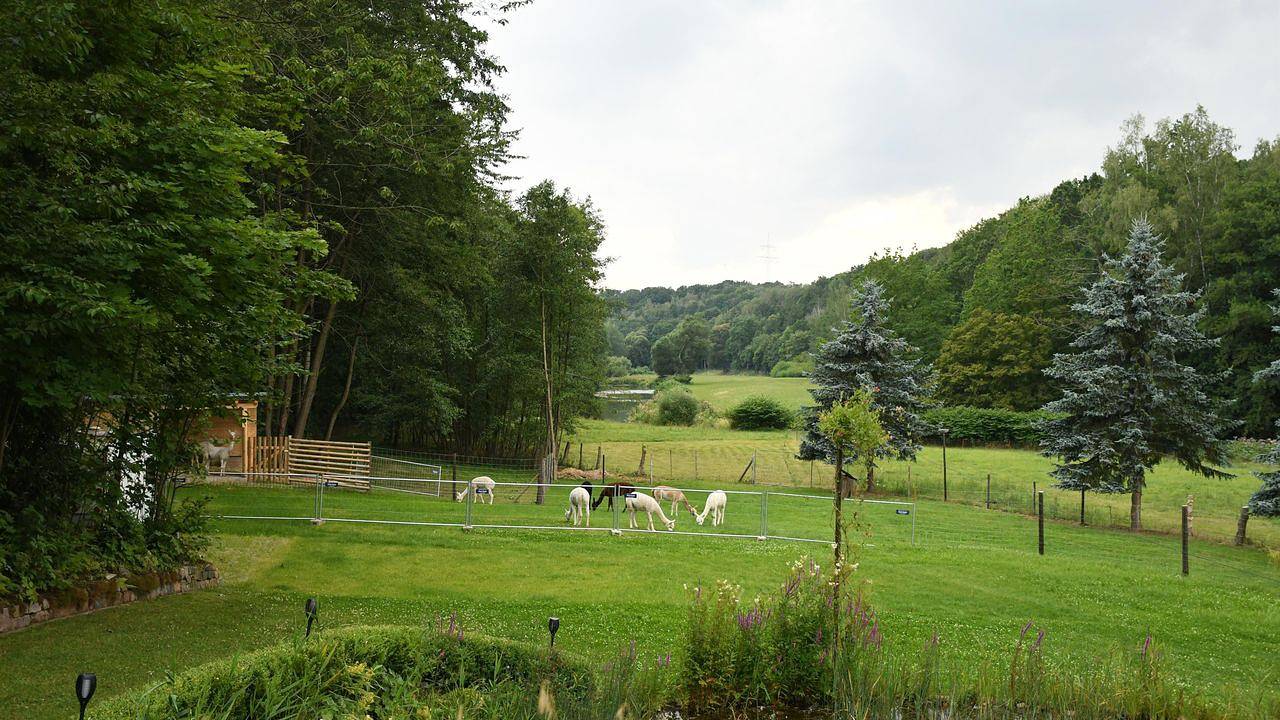 Ganze Ferienwohnung, Ferienwohnung für 4 Personen (81 m²) in Taura in Taura, Chemnitz und Umgebung